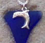 Dolphins