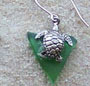 Turtles